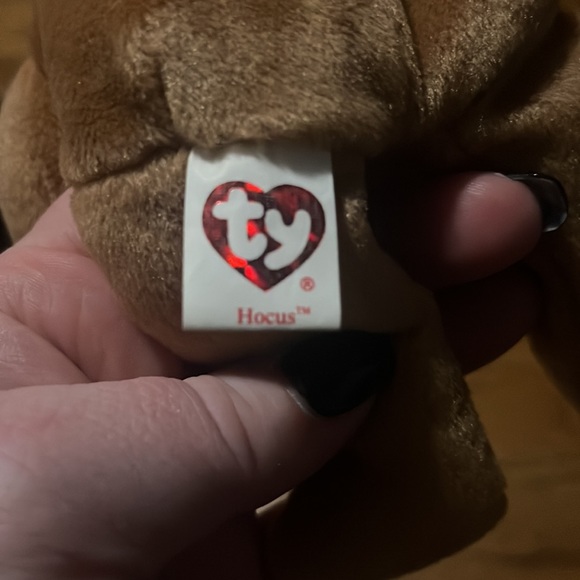 Ty Halloweenie Beanie Baby HOCUS the Halloween Bear (5 Inch) MINT with MINT TAGS - Picture 6 of 11